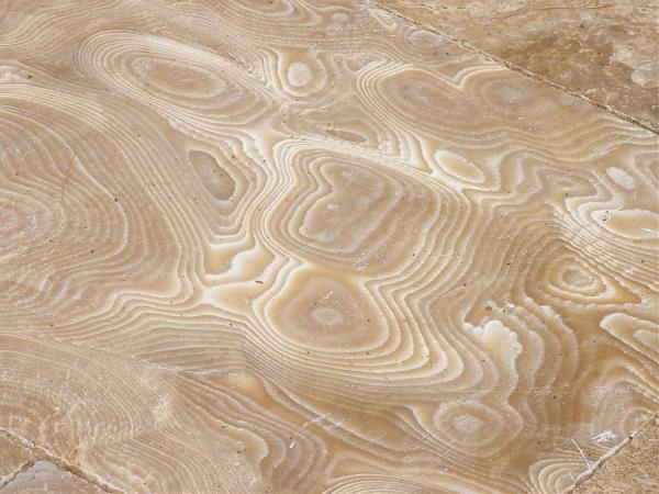 صادرات گسترده سنگ تراورتن پوست ماری به الجزایر